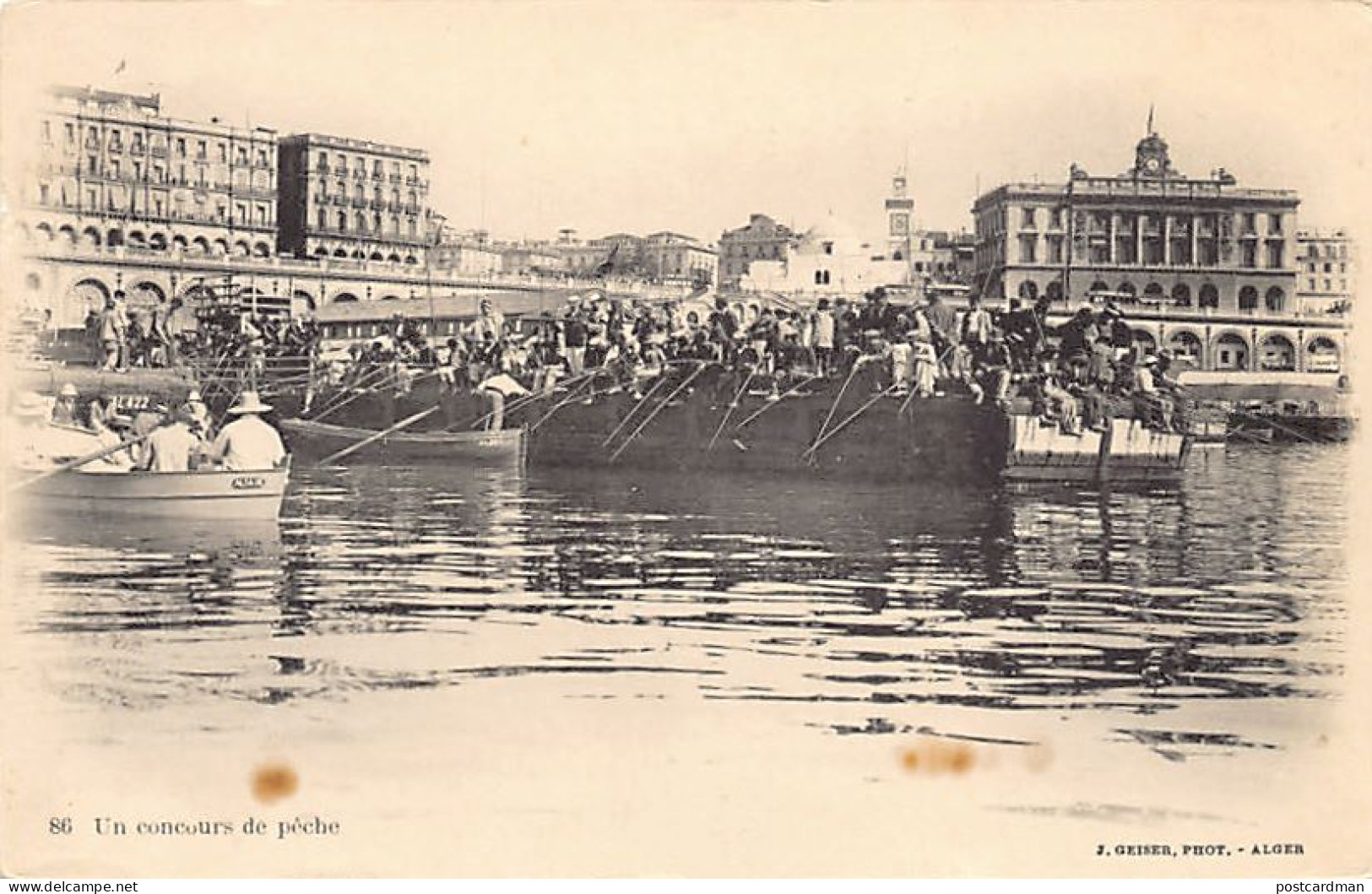 ALGER - Un Concours De Pêche (dans Le Port) - Ed. J. Geiser 86 - Algiers