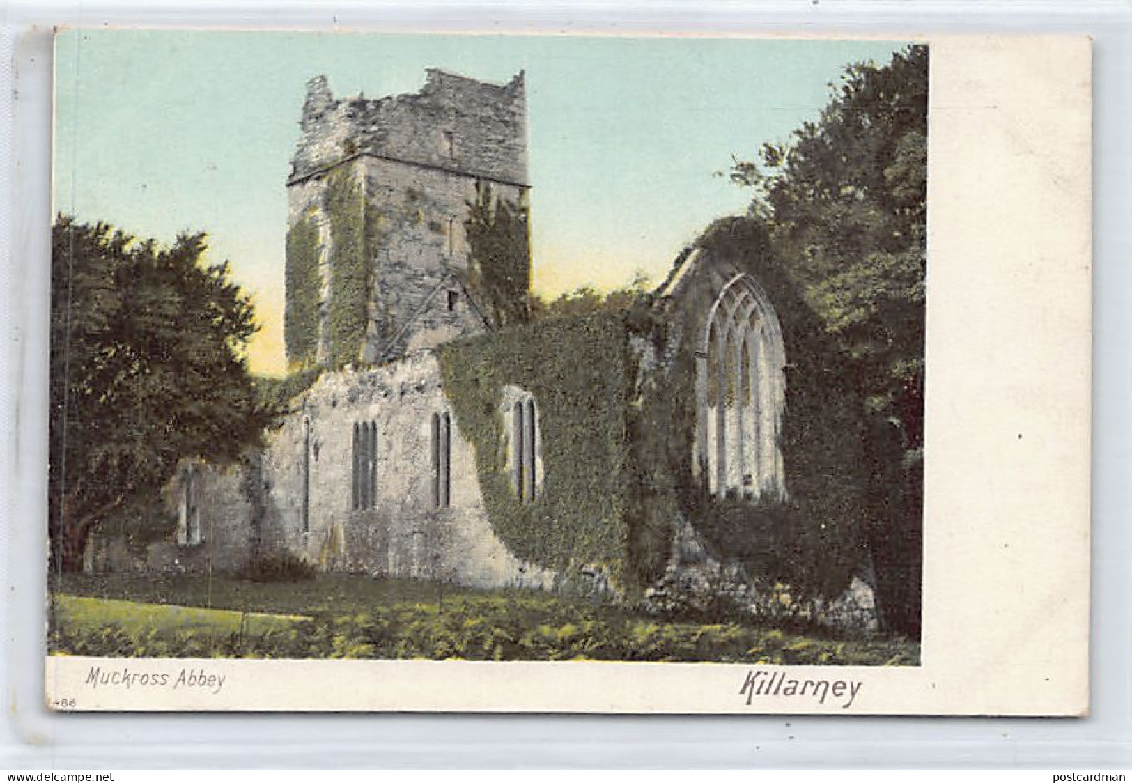 Eire - KILLARNEY (Kerry) Muckross Abbey - Kerry