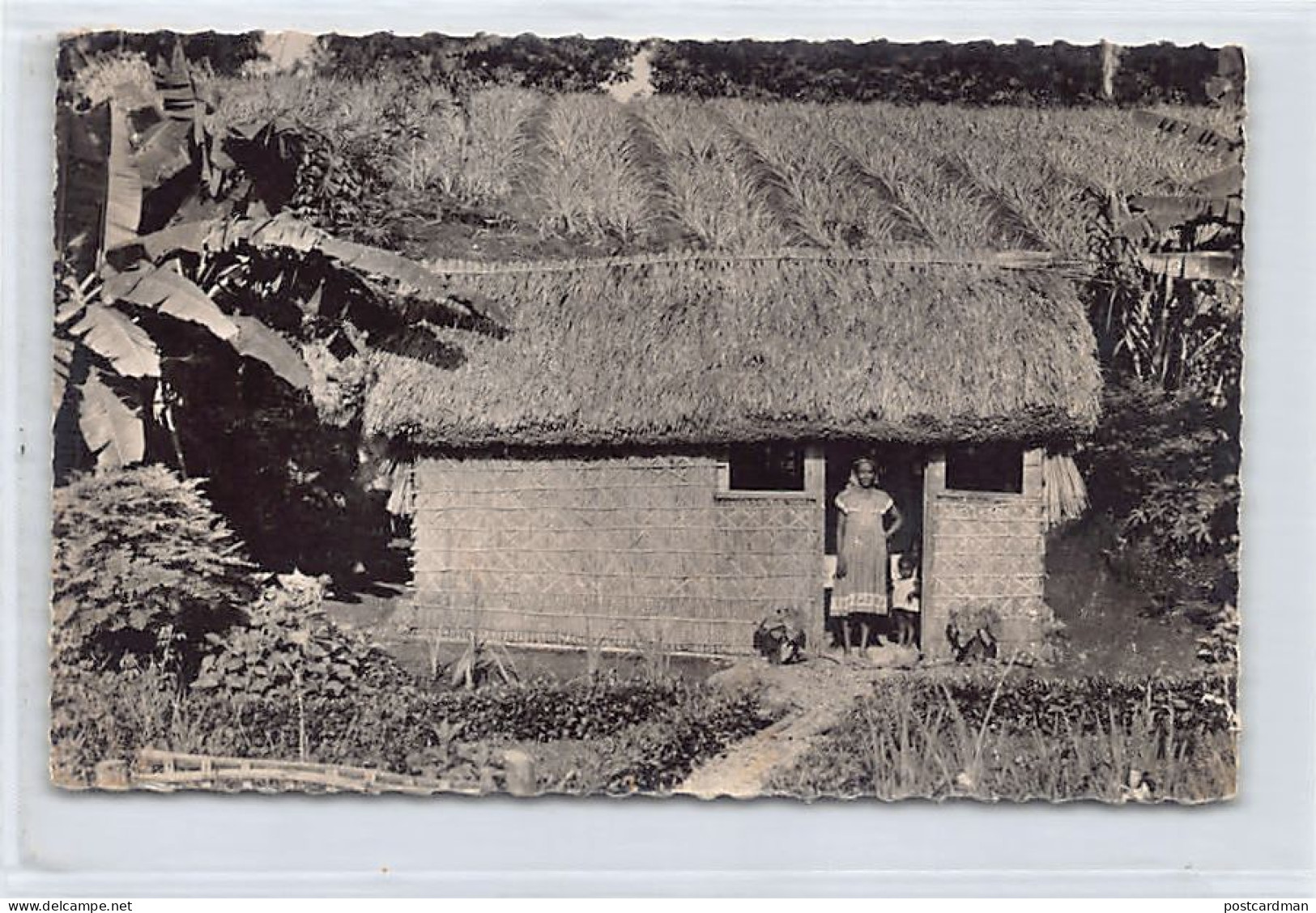 Martinique - SAINT-PIERRE - La Gentille Chaumière D'un Pauvre Paysan - Ed. La Martinique Touristique 18008 - Autres & Non Classés