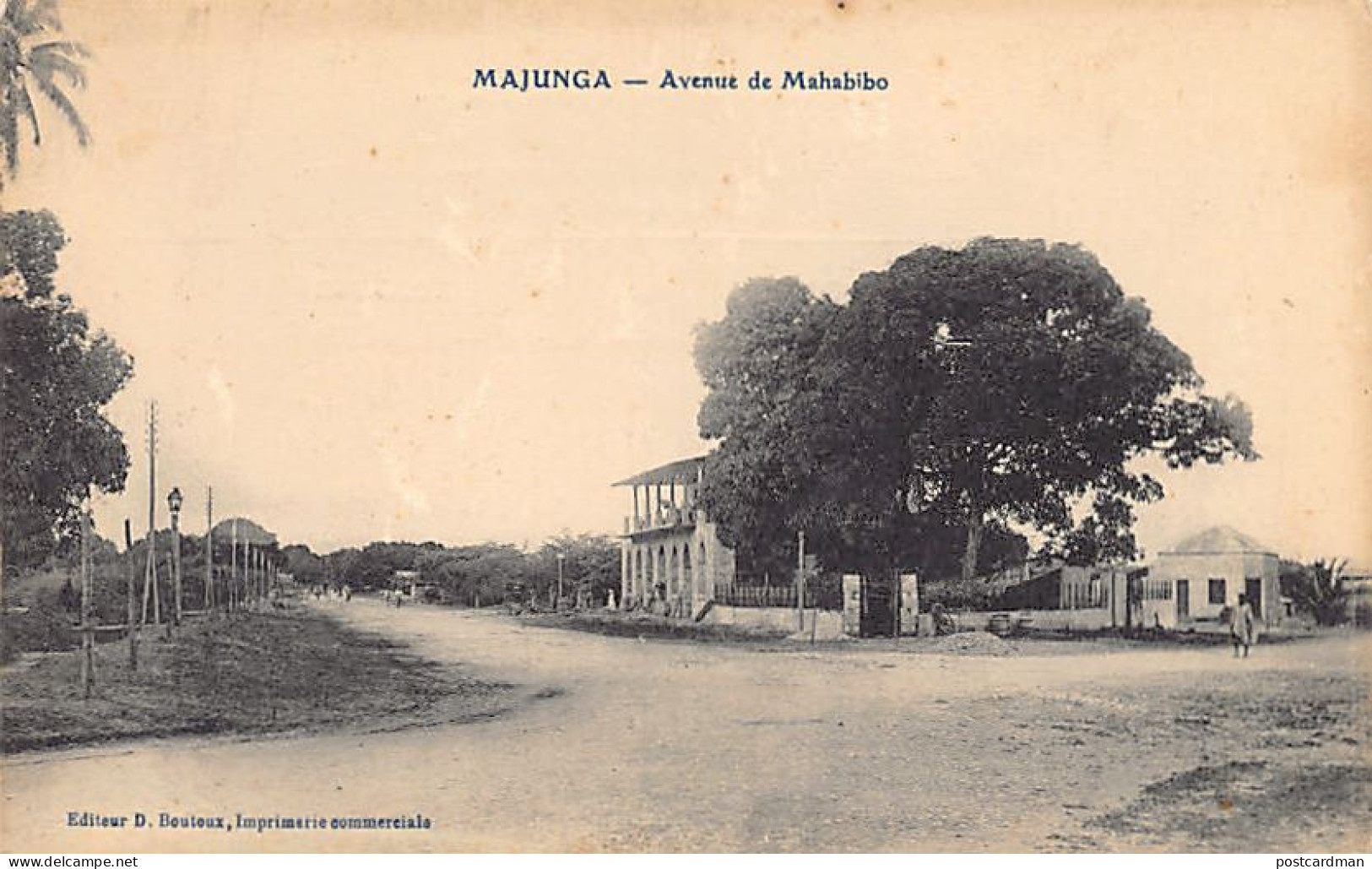 Madagascar - MAJUNGA - Avenue De Mahabibo - Ed. D. Bontoux  - Madagaskar