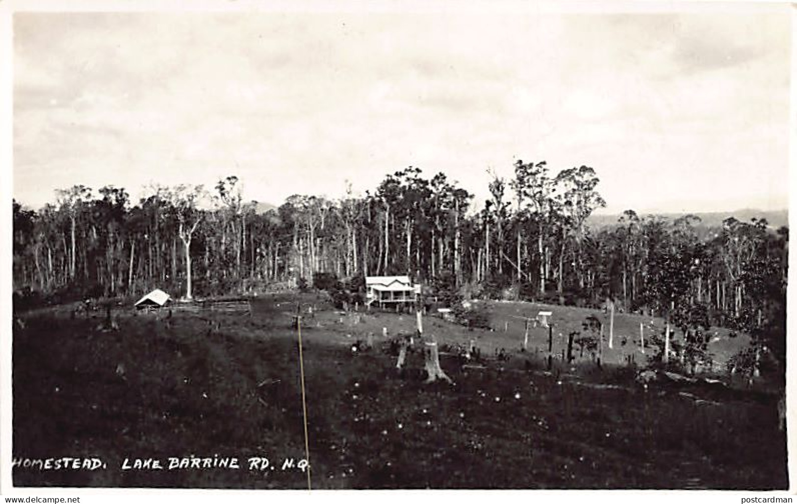 Australia - LAKE BARRINE (QLD) Homestead - REAL PHOTO - Publ. W. J. Laurie  - Other & Unclassified