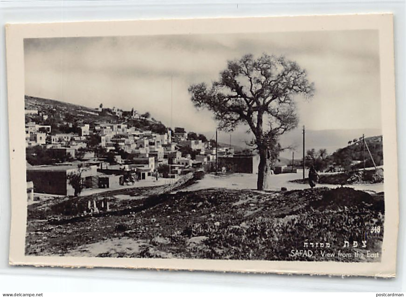 Israel - SAFAD - View From The East - Publ. Palphot 348 - Israel
