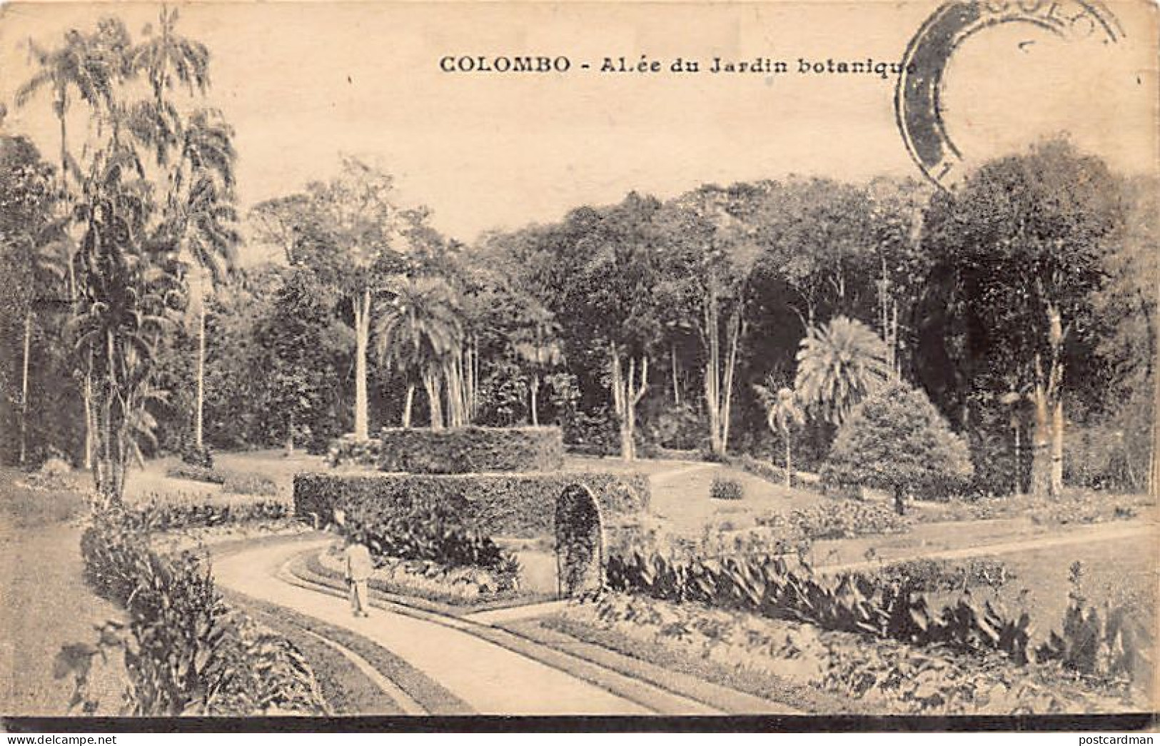 Sri Lanka - COLOMBO - Alley Of The Botanical Garden - Publ. H. Grimaud (no Imprint)  - Sri Lanka (Ceylon)