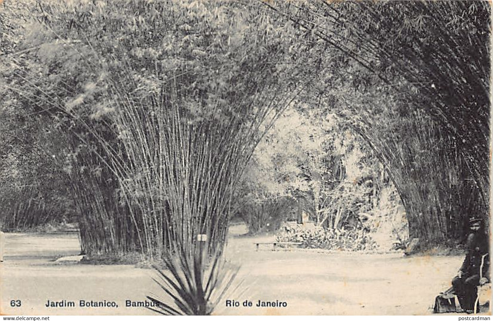 Brasil - RIO DE JANEIRO - Jardim Botanico - Bambus - Ed. A. Ribeiro 63 - Autres & Non Classés