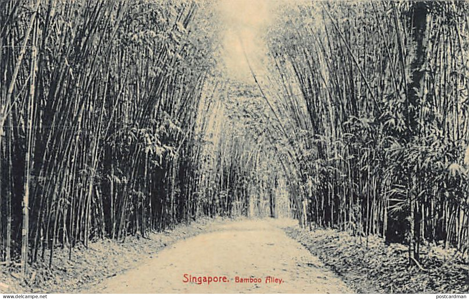 Singapore - Bamboo Alley - Publ. Max H. Hilckes  - Singapour