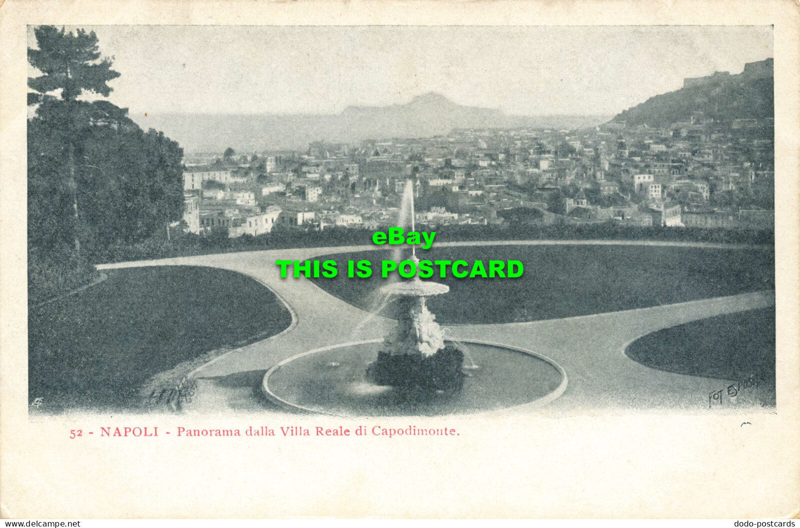 R586925 Napoli. Panorama Dalla Villa Reale Di Capodimonte - Monde