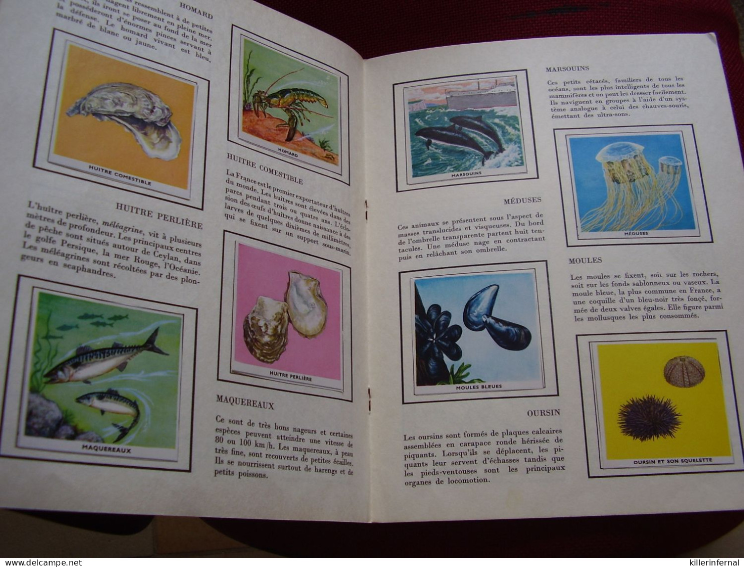 Album Chromos Images Vignettes Encyclopédie Par Le Timbres *** Animaux De La Mer  *** - Sammelbilderalben & Katalogue