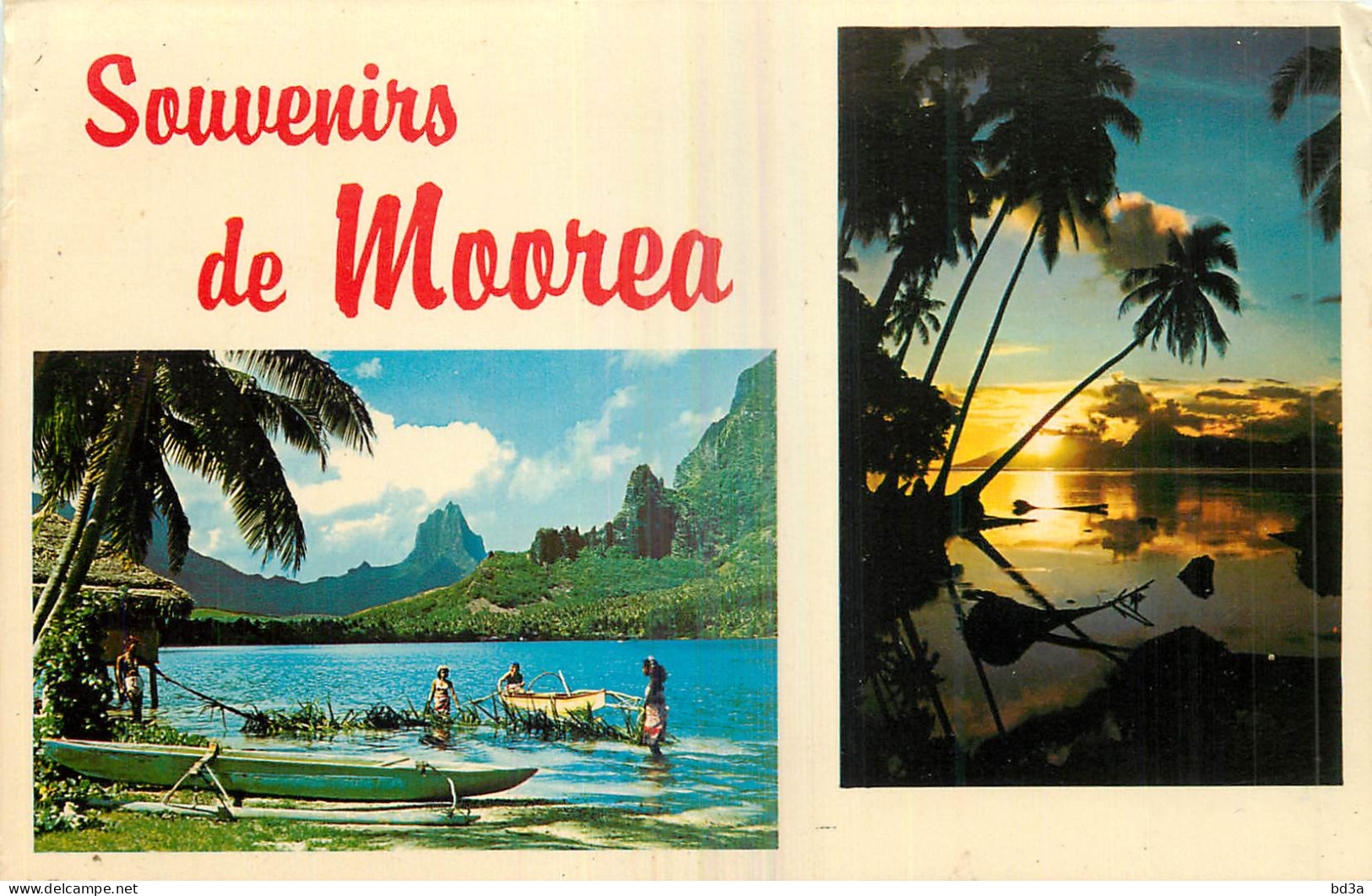 SOUVENIR DE MOOREA - Polynésie Française