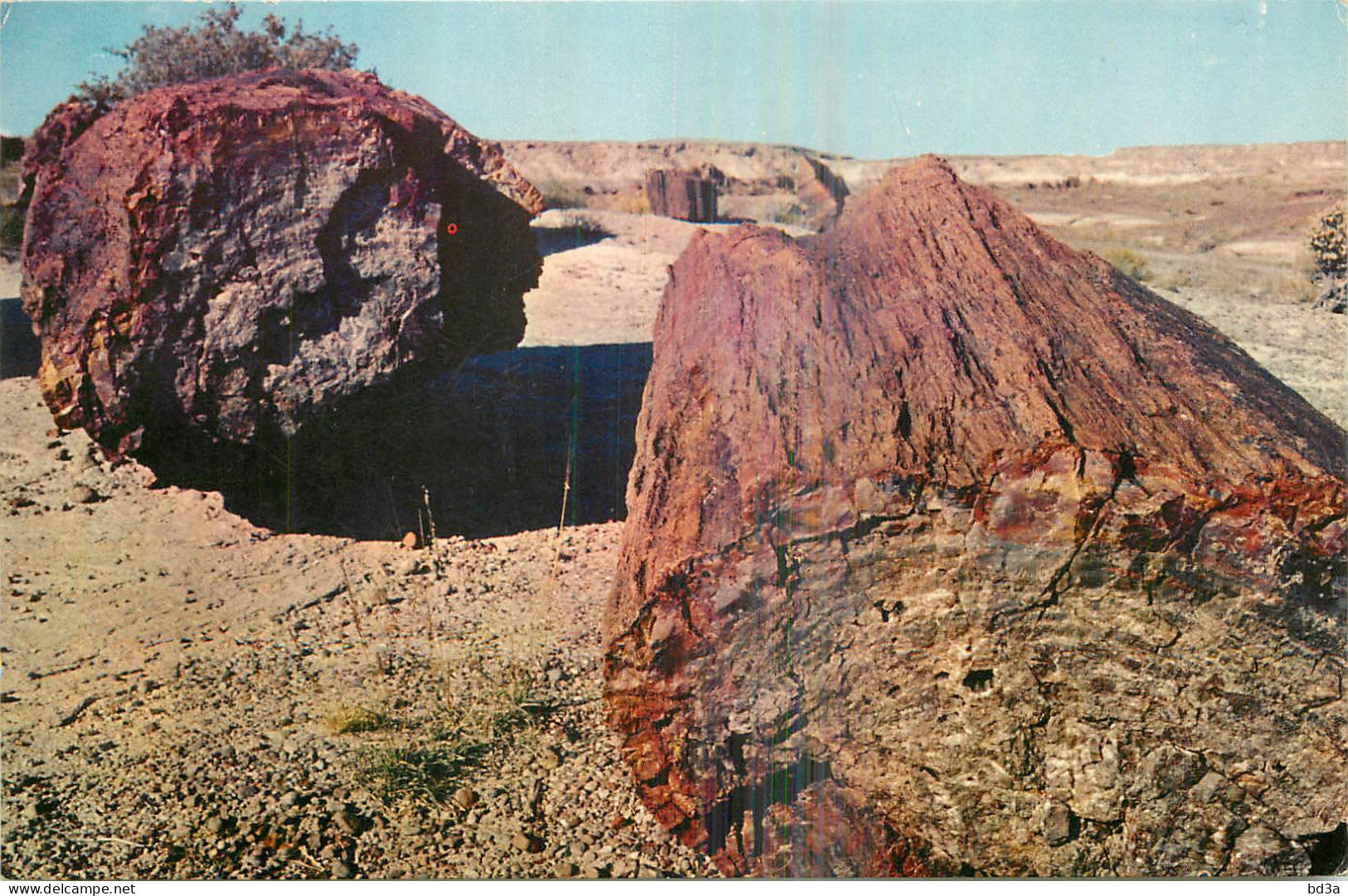 ARIZONA PETRIFIED LOG - Sonstige & Ohne Zuordnung