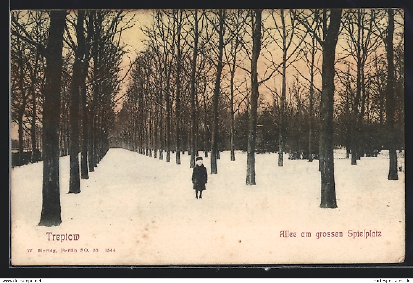 AK Berlin-Treptow, Allee Am Grossen Spielplatz Im Winter  - Treptow