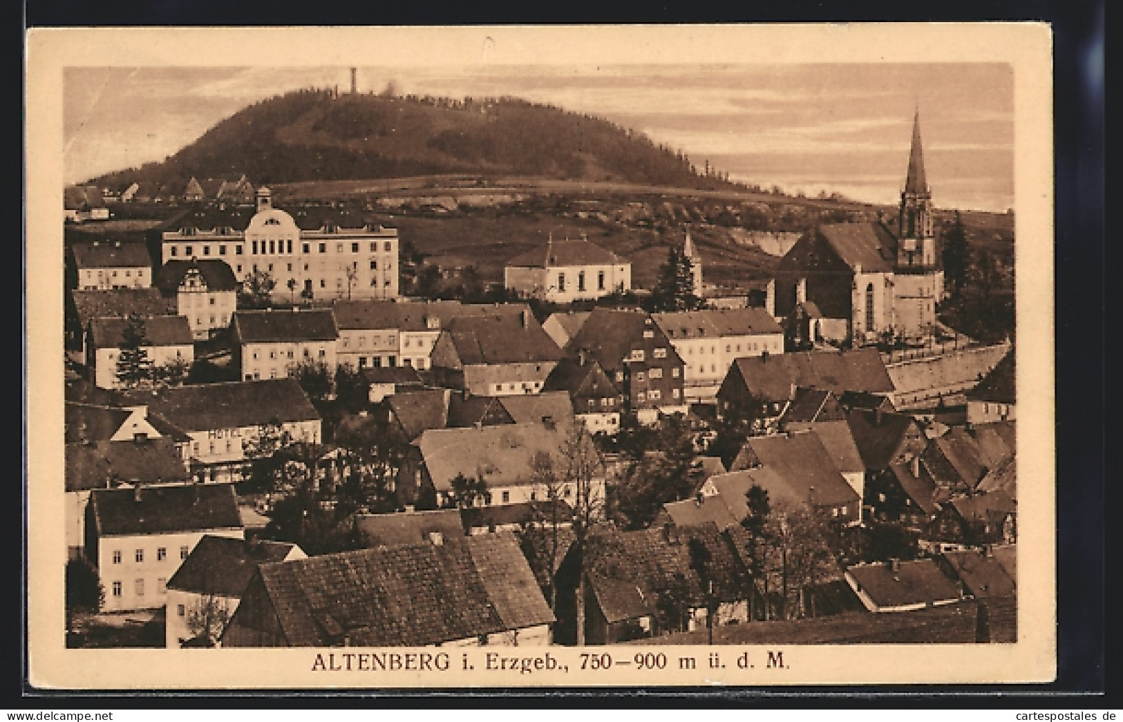 AK Altenberg I. Erzgeb., Panorama Mit Umgebung  - Altenberg