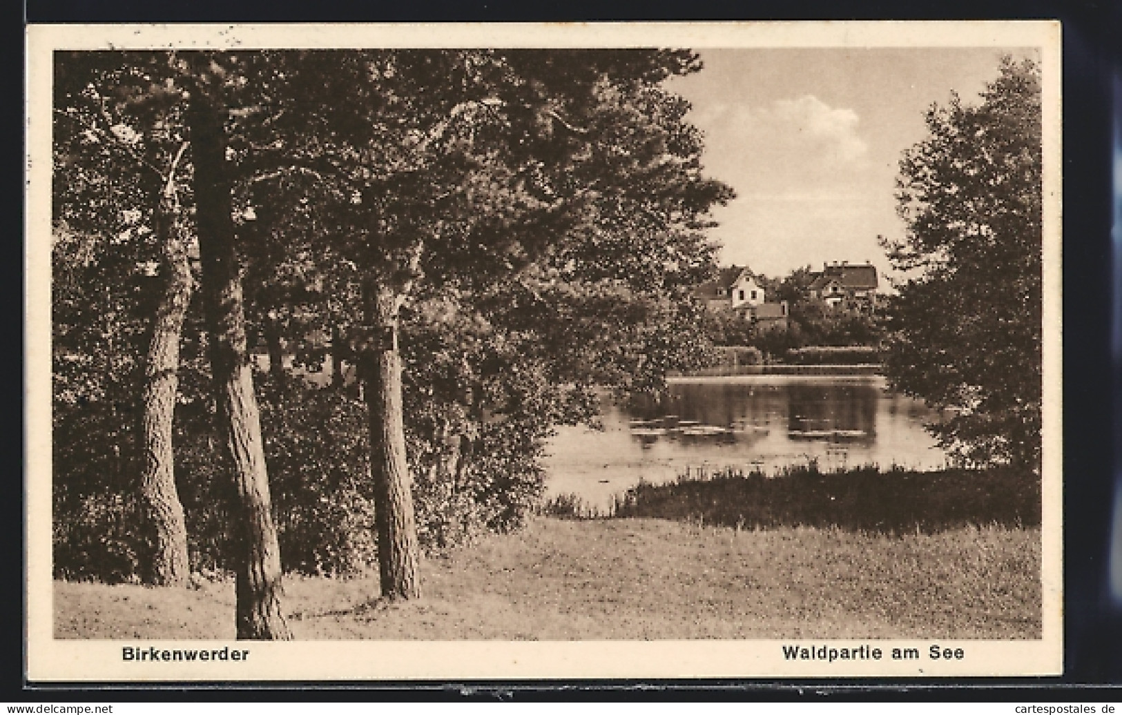 AK Birkenwerder, Waldpartie Am See  - Birkenwerder