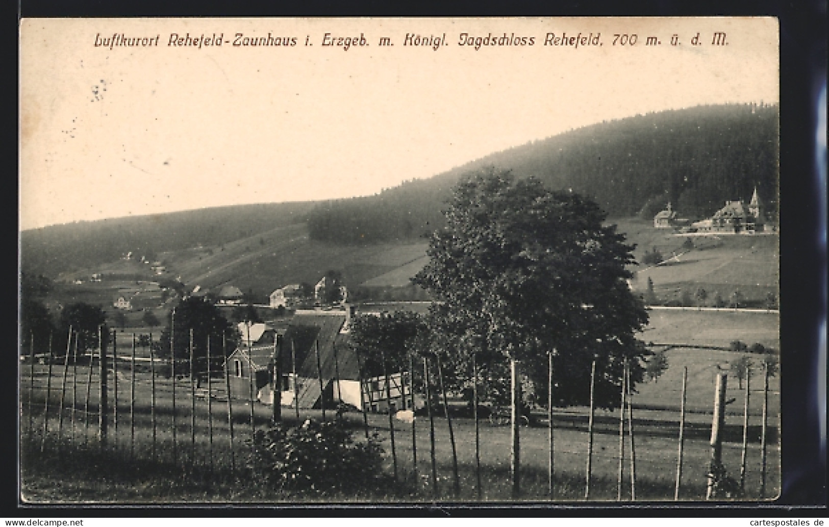 AK Rehefeld-Zaunhaus I. Erzgeb., Gesamtansicht Mit König. Jagdschloss Rehefeld  - Chasse
