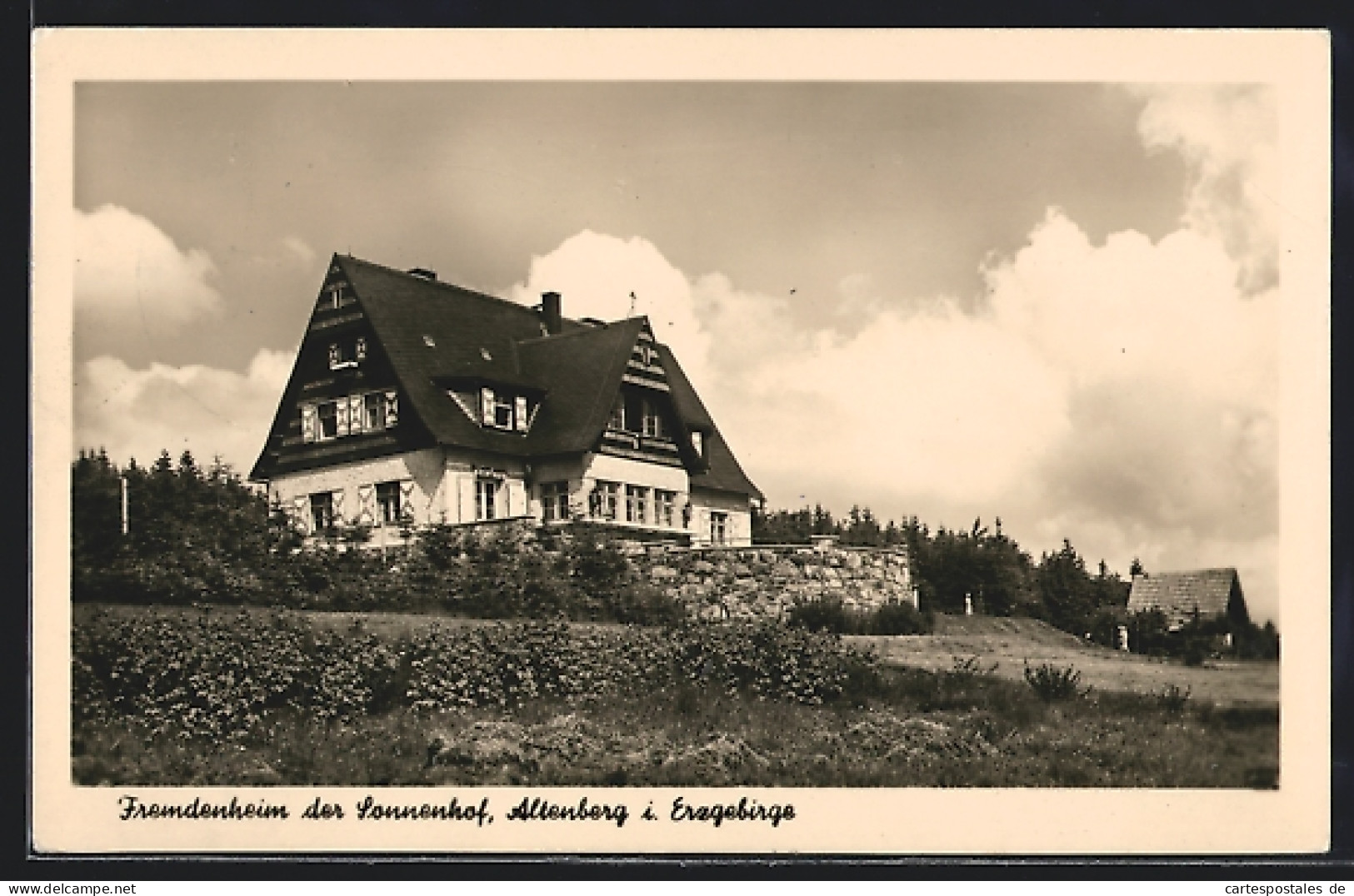 AK Altenberg I. Erzgeb., Fremdenheim Sonnenhof  - Altenberg