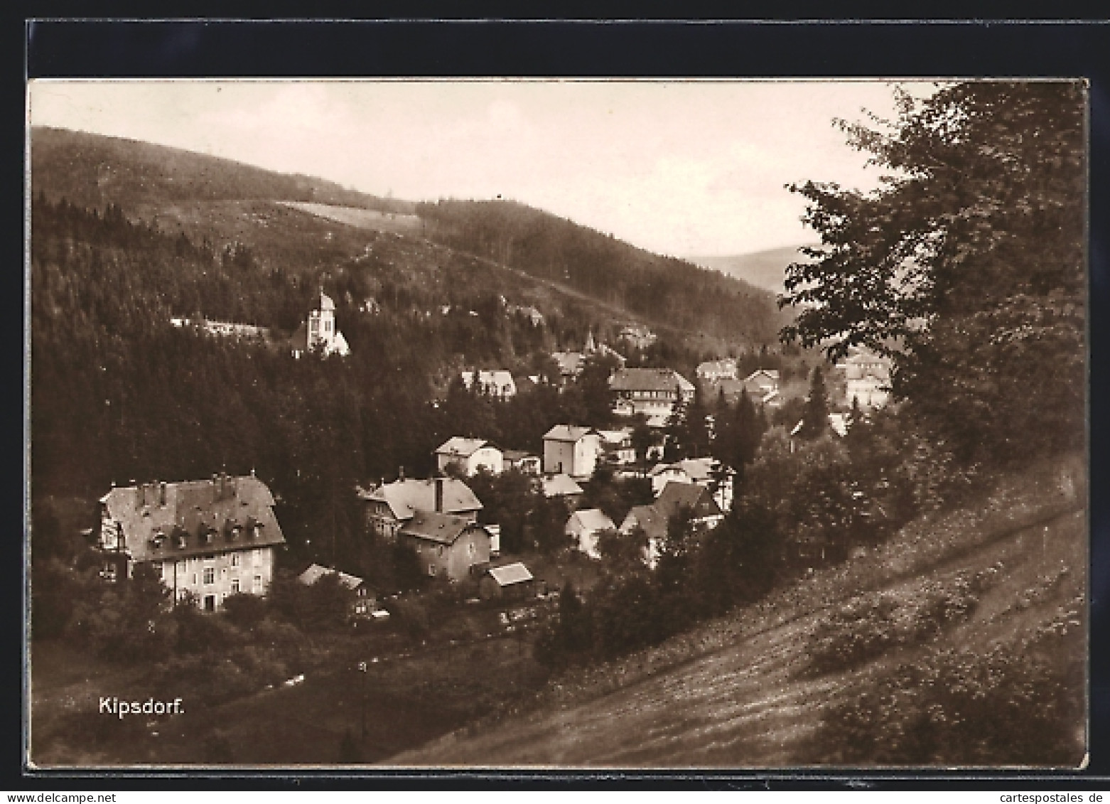 AK Kipsdorf / Erzgeb., Totale Vom Berg Aus Gesehen  - Kipsdorf