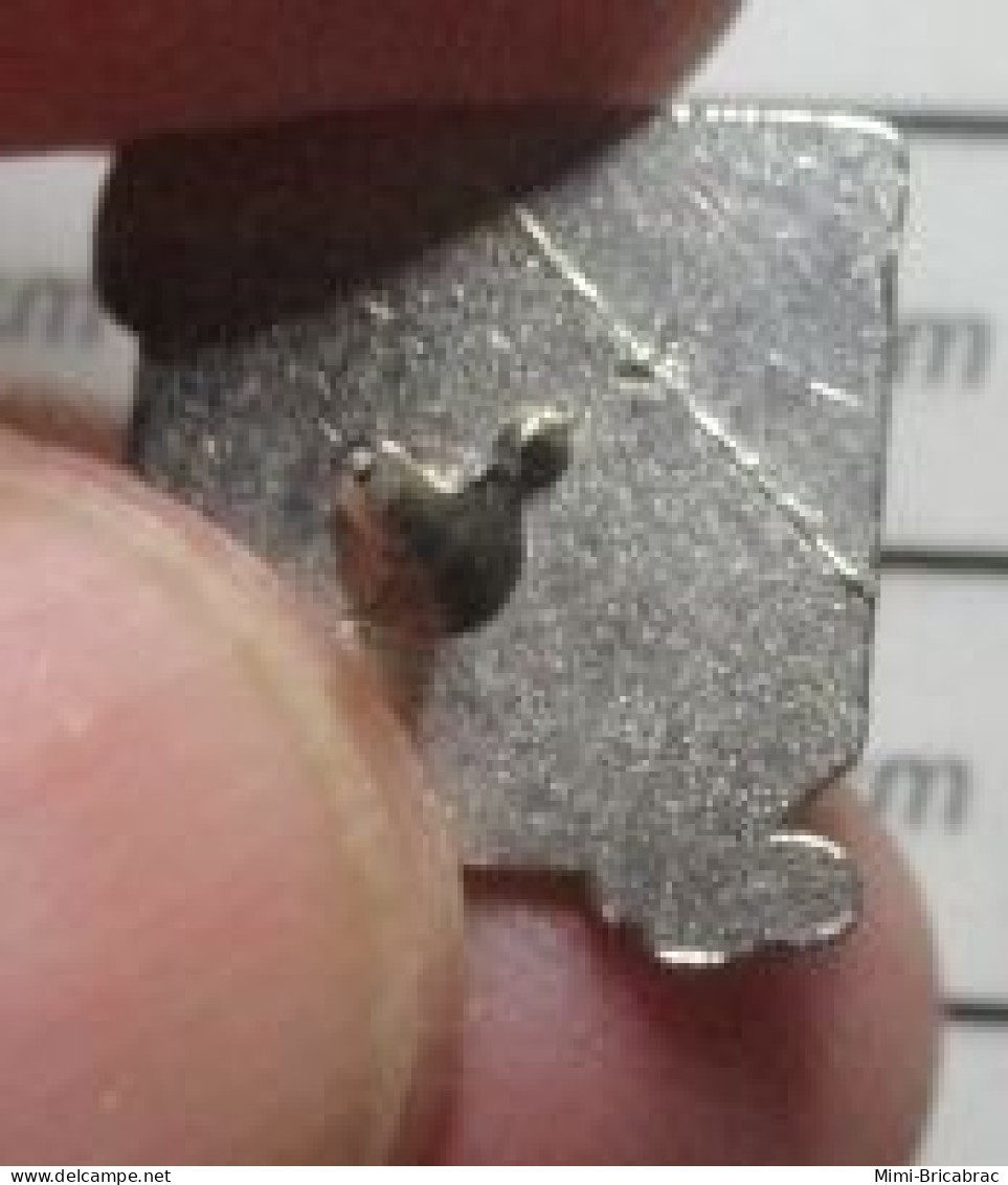 912E Pin's Pins / Beau Et Rare / MARQUES / CEFICEM - Trademarks