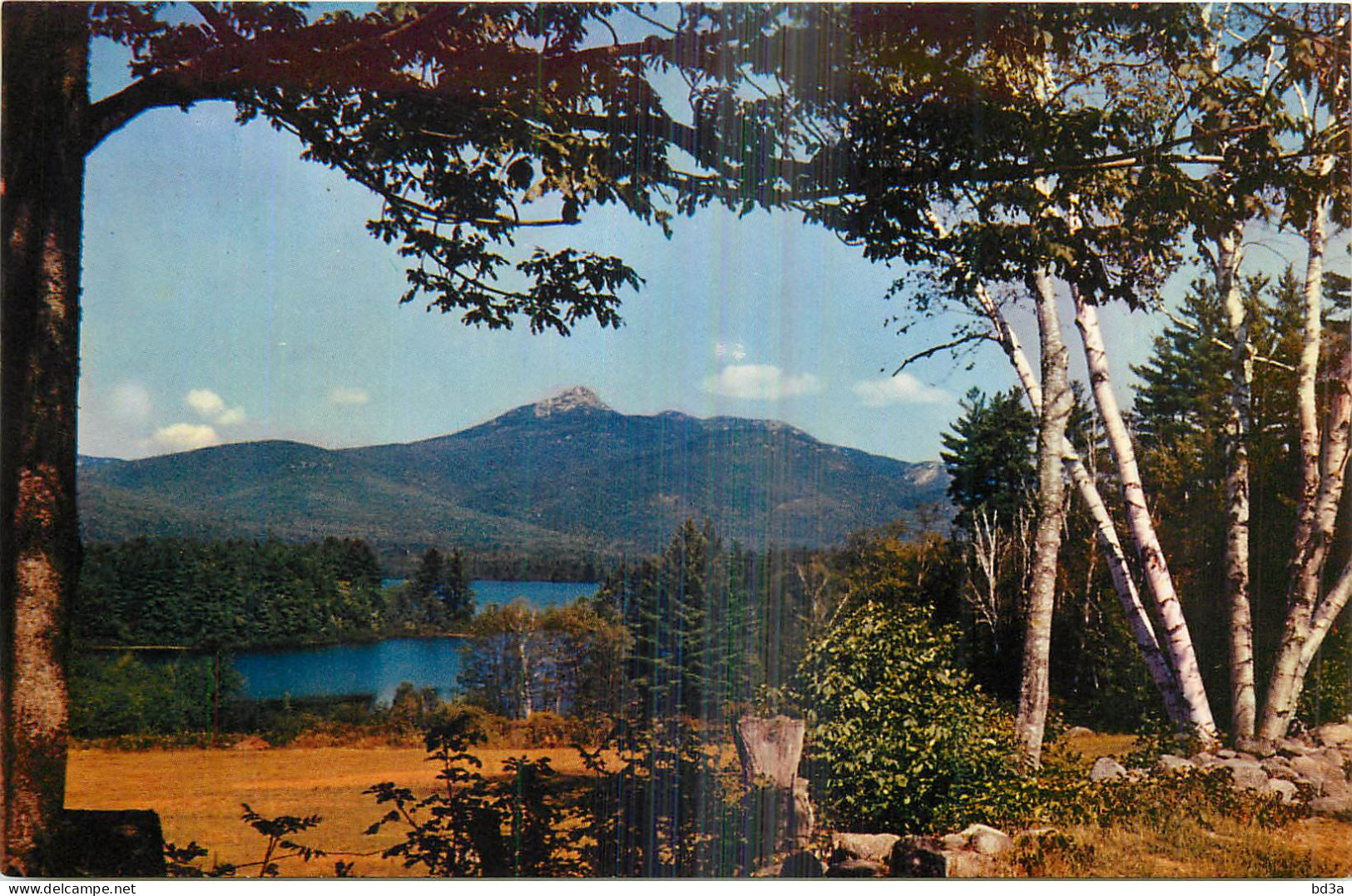 MT CHOCORUA WHITE  MOUNTAINS  - A Identifier