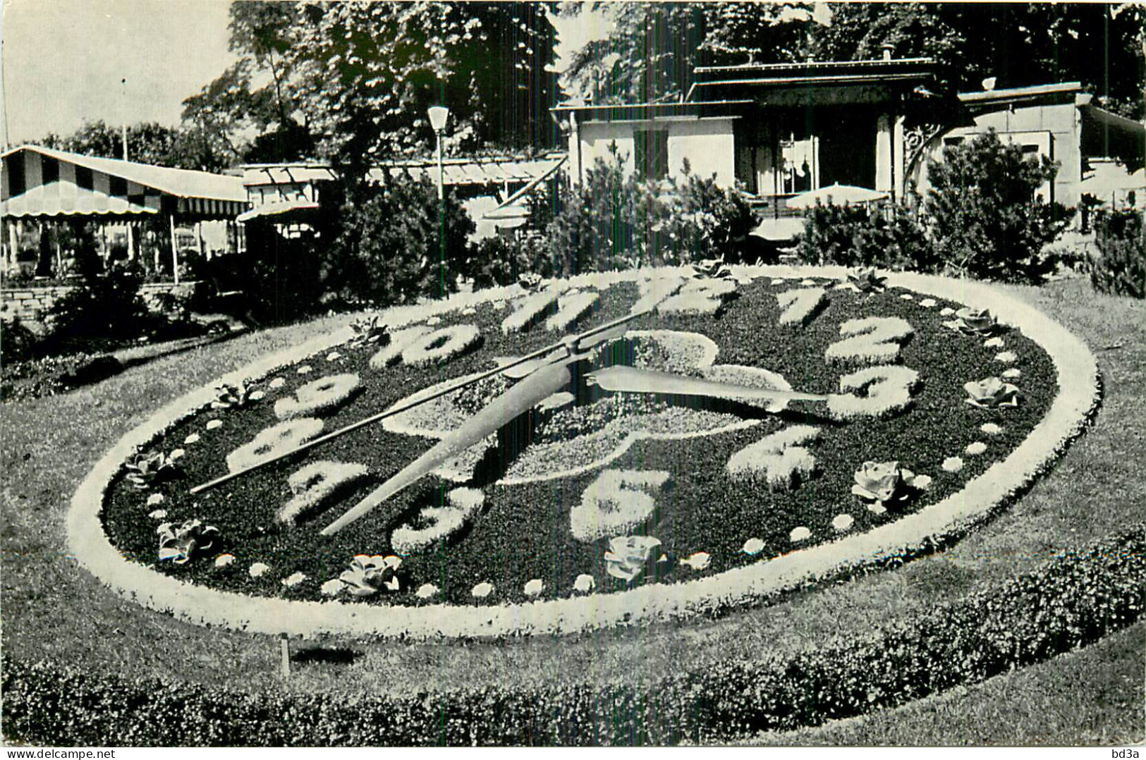 GENEVE L'HORLOGE FLEURIE  - Genève