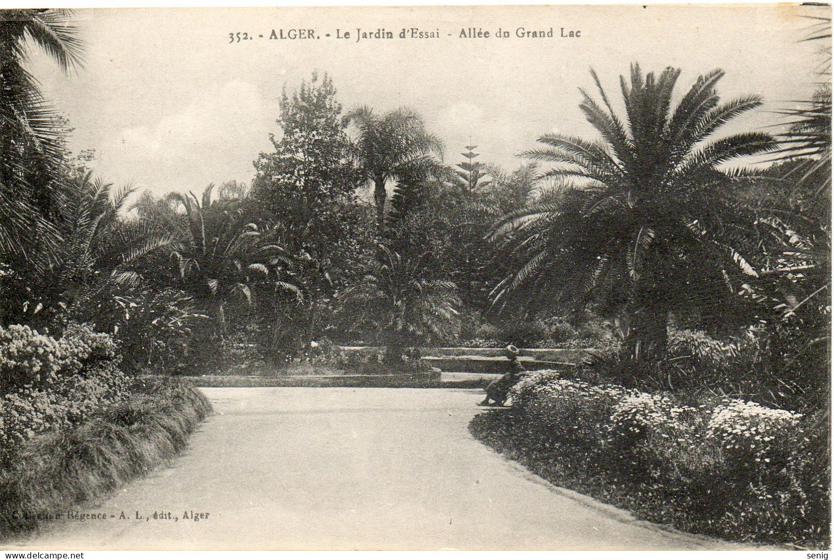 ALGERIE - ALGER - 352 - Le Jardin D'Essai - L'allée Du Grand Lac - Collection Régence A. L. édit. Alger (Leroux) - - Alger