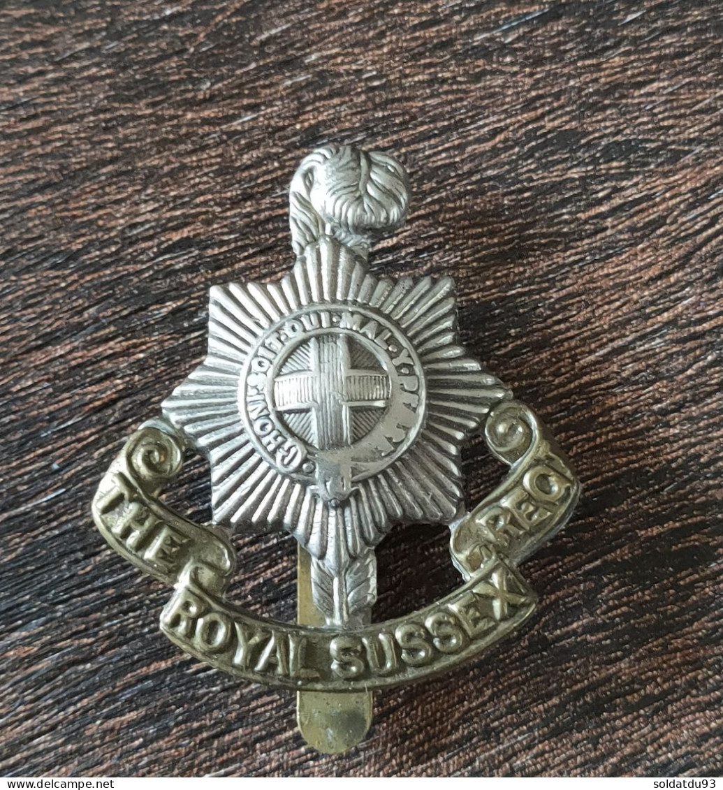 Insigne De Casquette Du Royal Sussex WW2 Royal Sussex Regiment - 1939-45