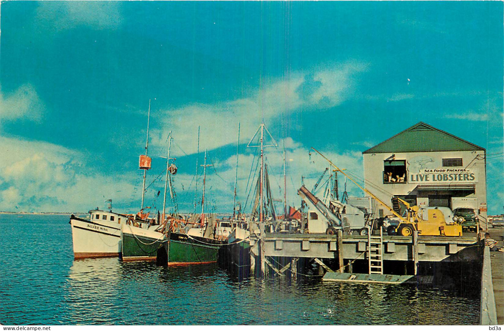 FISHING BOATS AT DOCK CAPE COD MASS - Autres & Non Classés