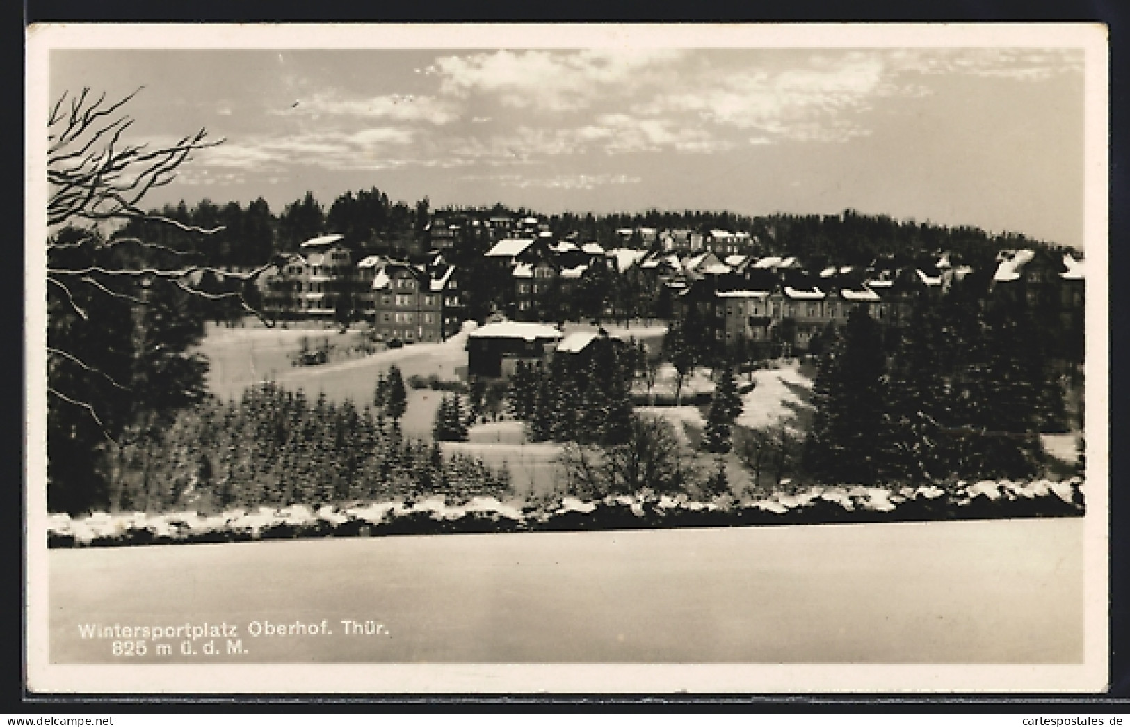 AK Oberhof / Thür., Ortspanorama Im Winter  - Oberhof