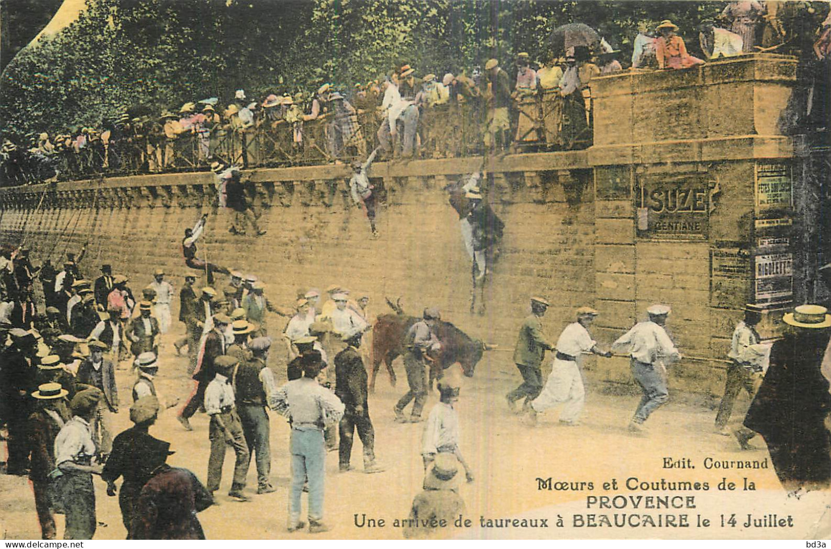 30 BEAUCAIRE Arrivée De Taureaux Le 14 Juillet  - Beaucaire