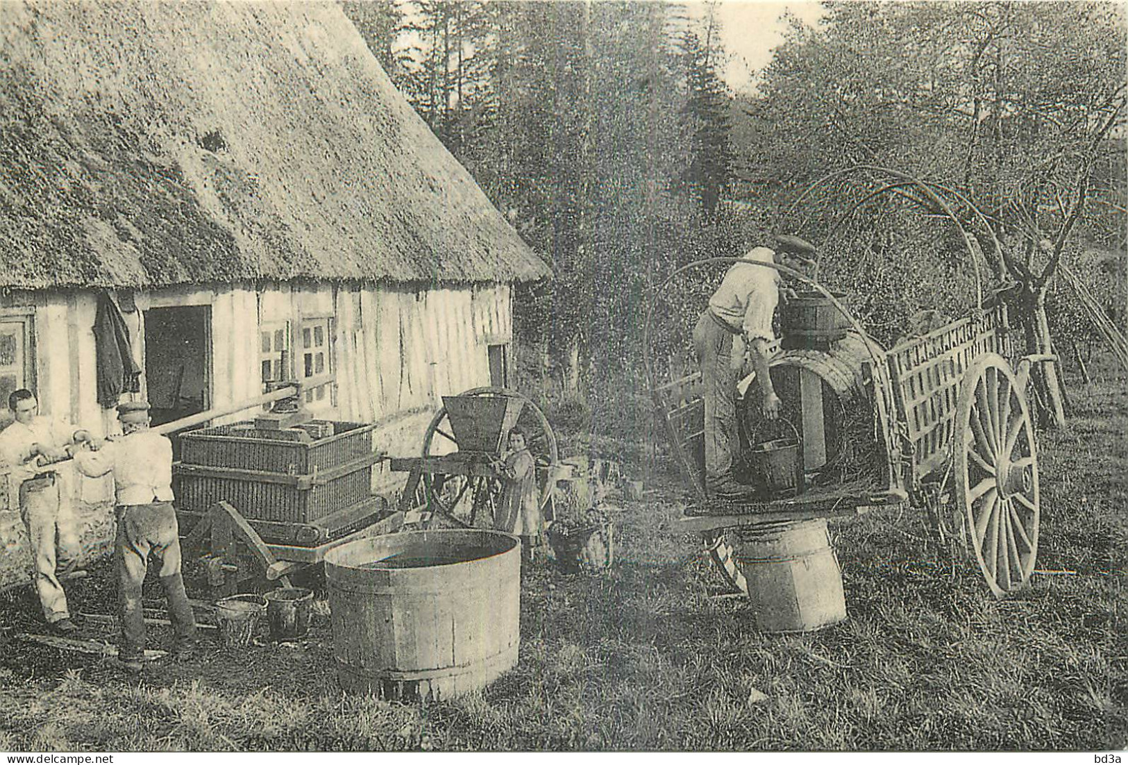 NORMANDIE FABRICATION DU CIDRE REPRODUCTION  - Haute-Normandie