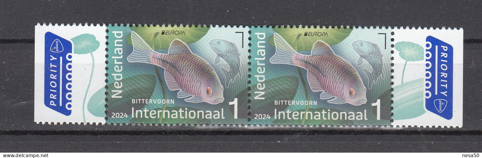 Nederland 2024 Nvph ?? Mi Nr ??, Onderwaternatuur Internationaal, Europa, Voorn + Watergentiaan, Roach + Water Gentian, - Unused Stamps