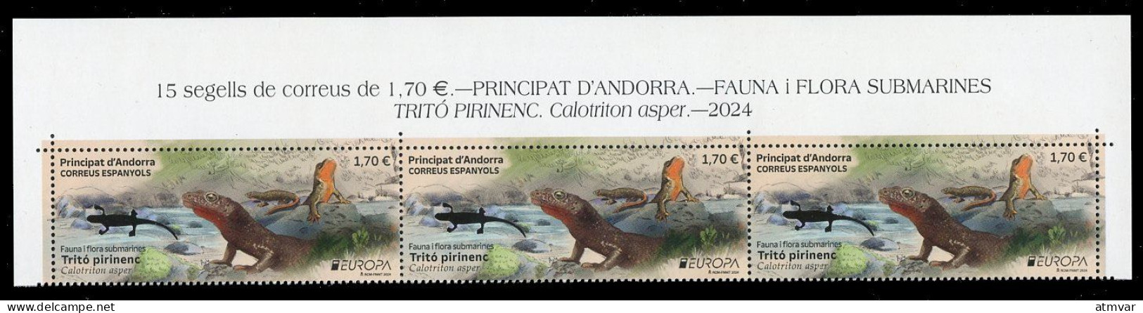 ANDORRA Correos (2024) EUROPA Fauna I Flora Submarines, Tritó Pirinenc, Calotriton Asper, Brook Salamander, Tritón - Unused Stamps