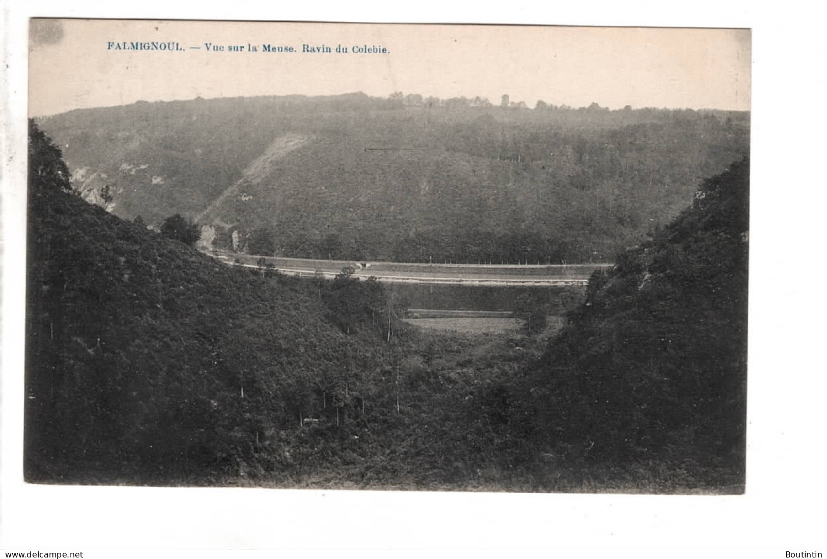 Falmignoul  Vue Sur La Meuse Ravin Du Colebie - Dinant