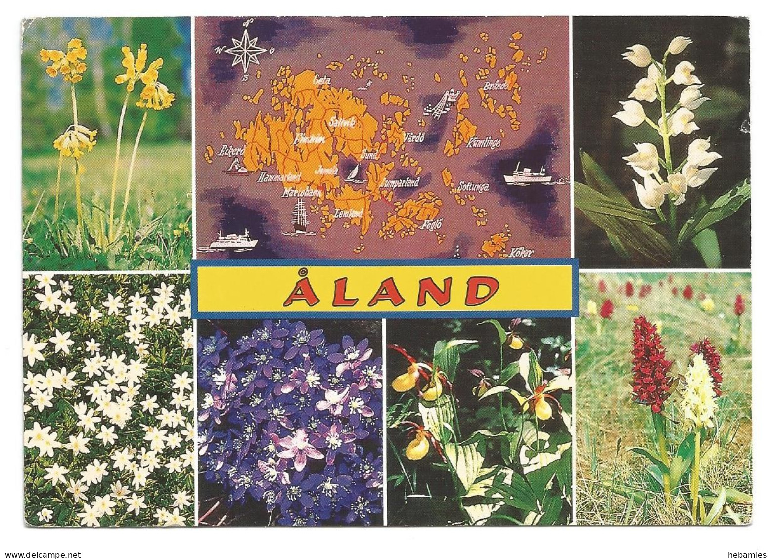 The FLOWERS Of ÅLAND - FINLAND - - Finland