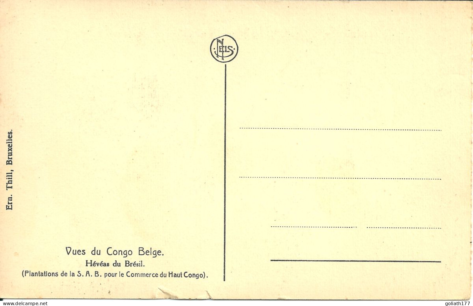 Vues Du Congo Belge - Heveas Du Bresil - Belgian Congo