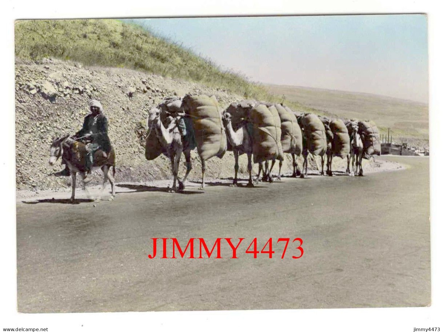 CPM - LIBAN En 1959 - Une Caravane ( De Coton, Bien Animée ) Photo Soort - Bab Edriss - Liban