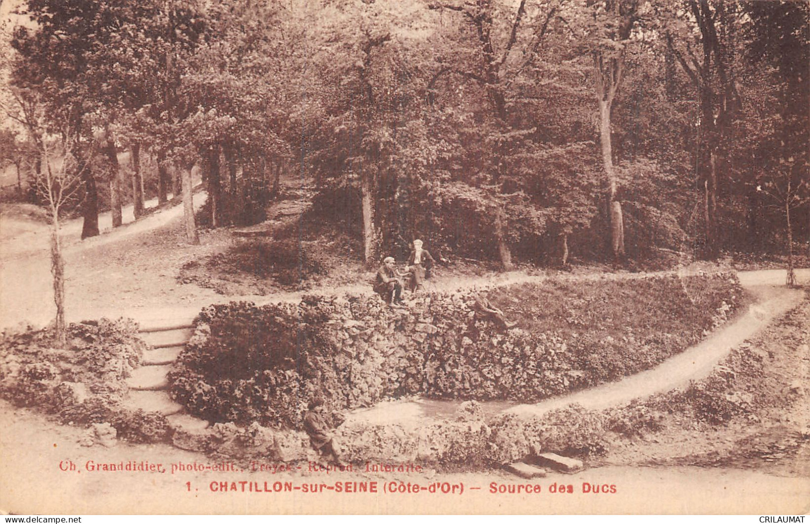 21-CHATILLON SUR SEINE-N°T5162-B/0121 - Chatillon Sur Seine