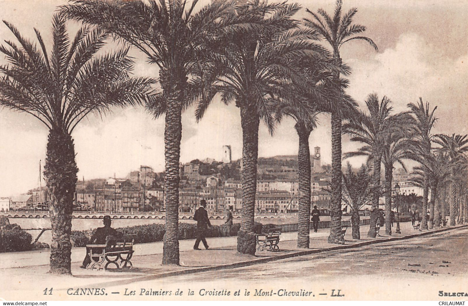 06-CANNES-N°T5162-F/0257 - Cannes