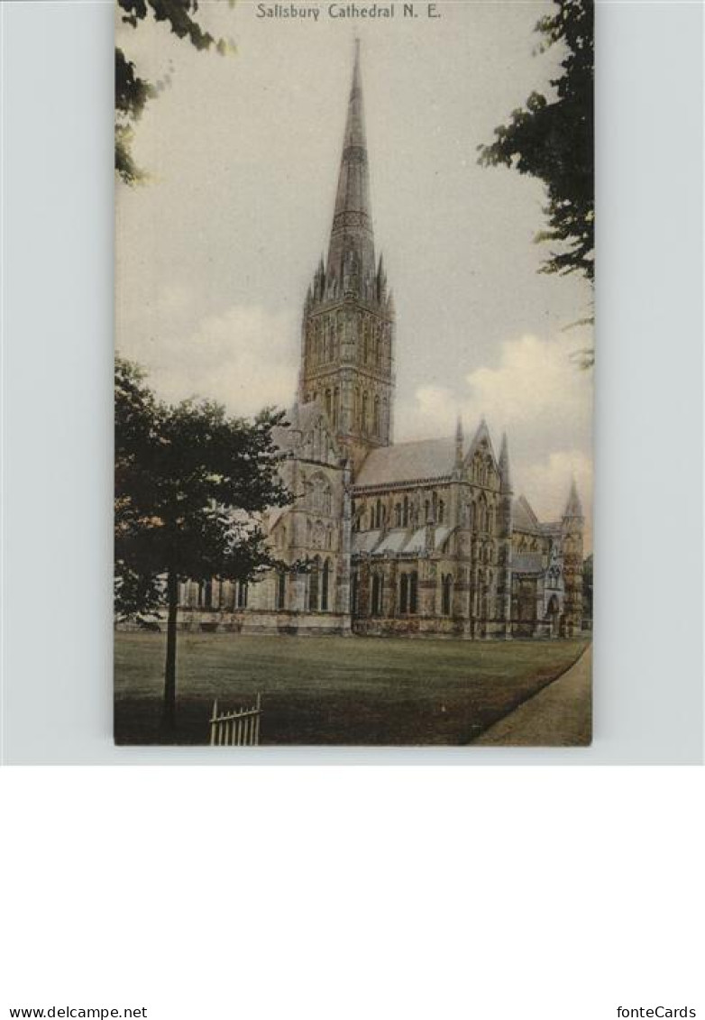 11216642 Salisbury Wiltshire Salisbury Cathedral Salisbury - Andere & Zonder Classificatie