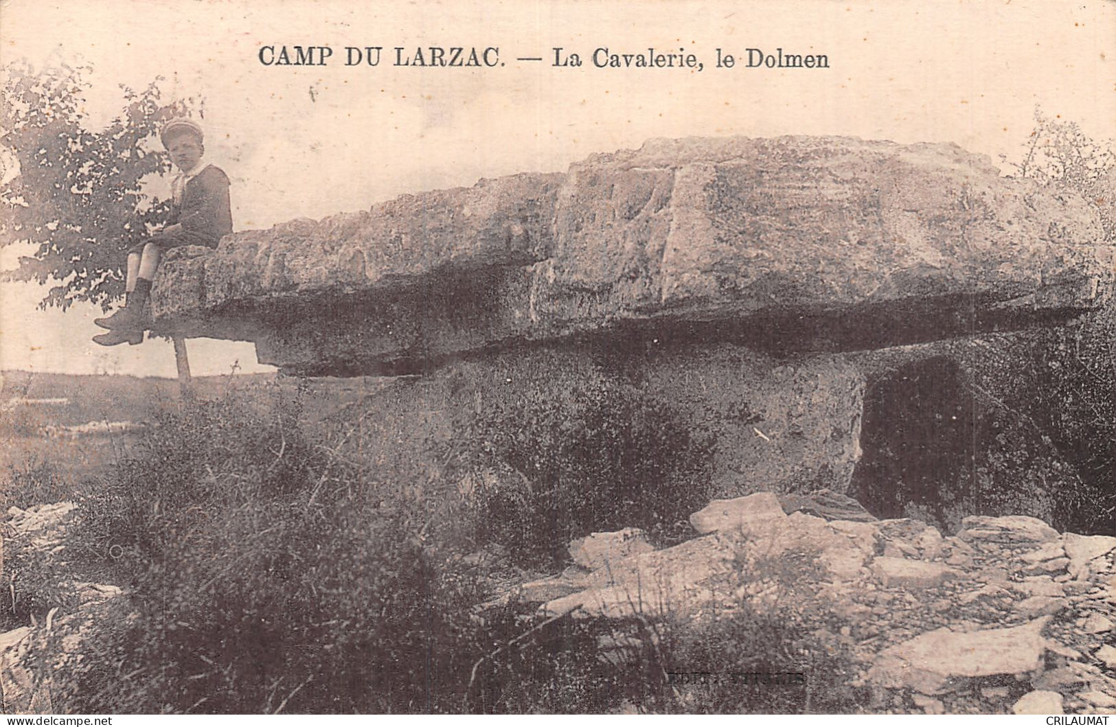 12-CAMP DU LARZAC-N°5163-D/0247 - Sonstige & Ohne Zuordnung