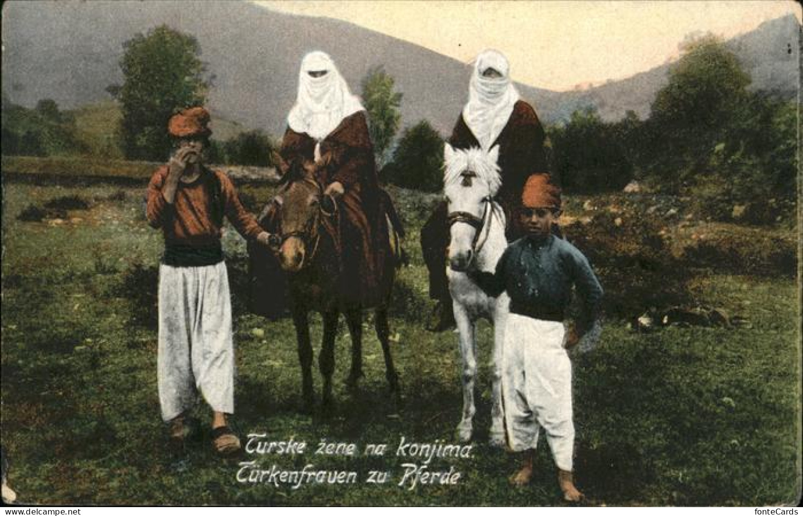11204036 Tuerkei Pferde  - Turquie