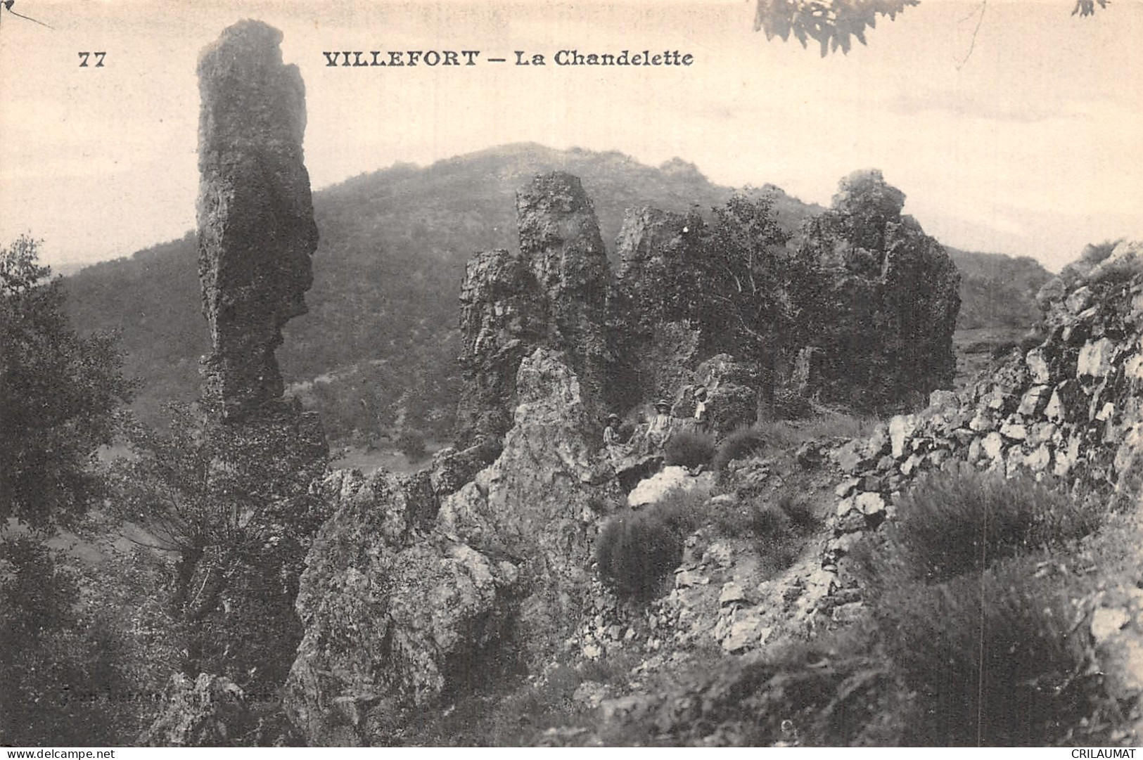 48-VILLEFORT-N°5163-C/0355 - Villefort