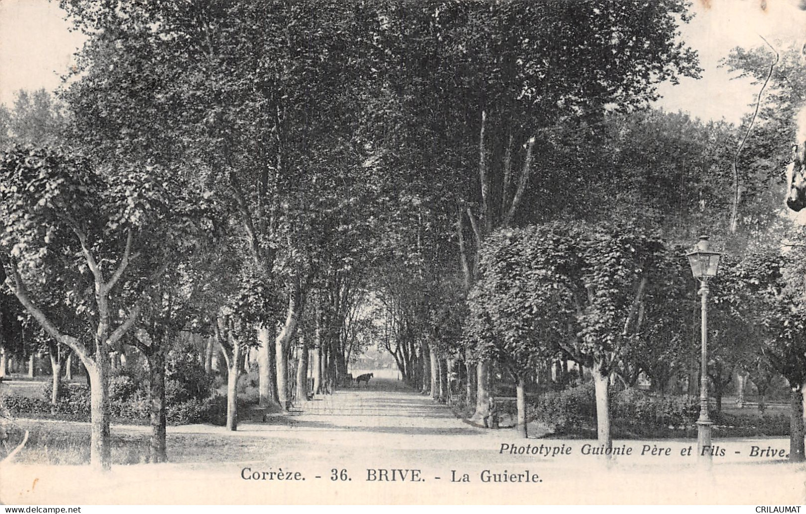 19-BRIVE-N°5163-C/0177 - Brive La Gaillarde