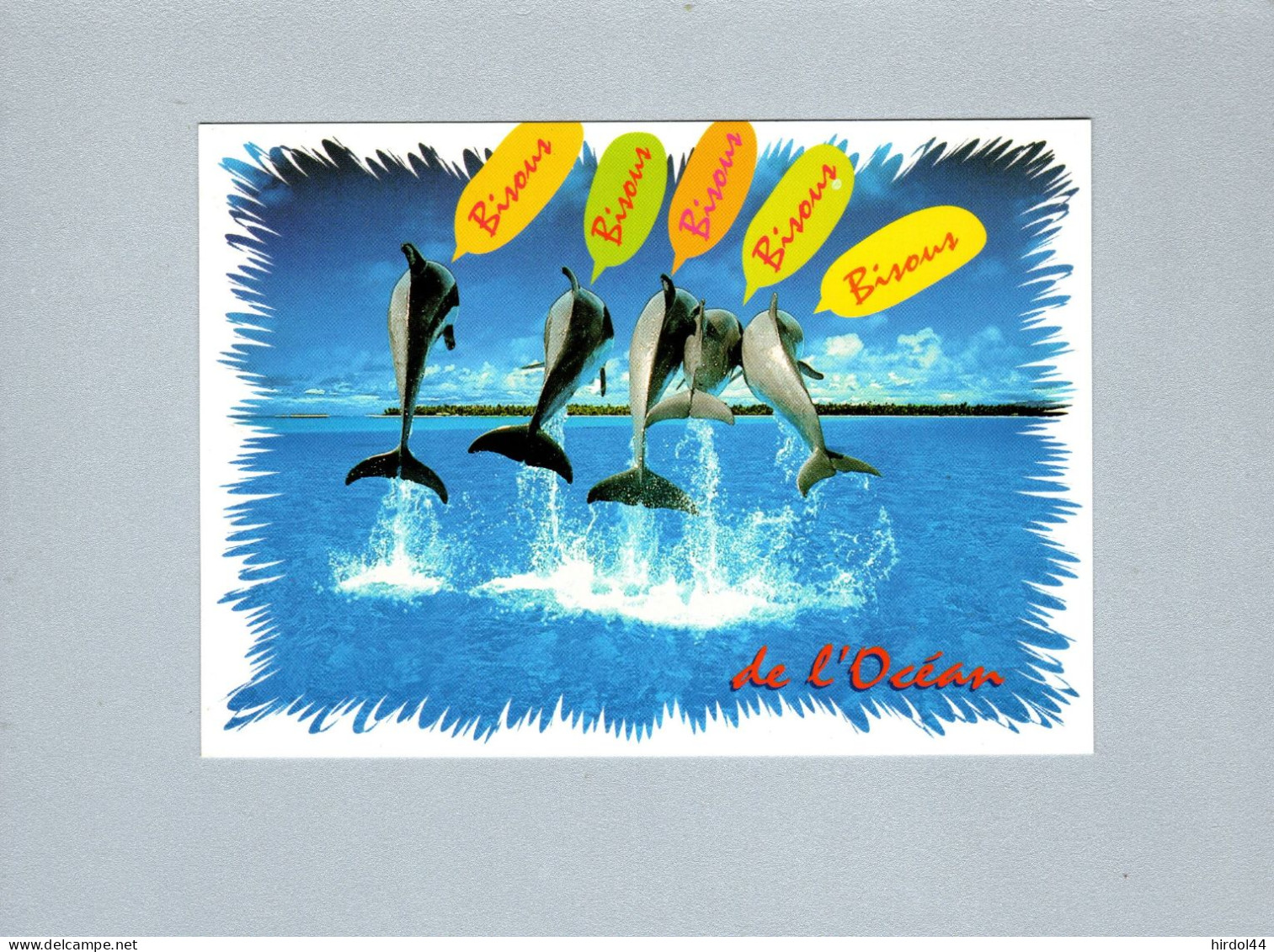 Dauphins - Dolphins