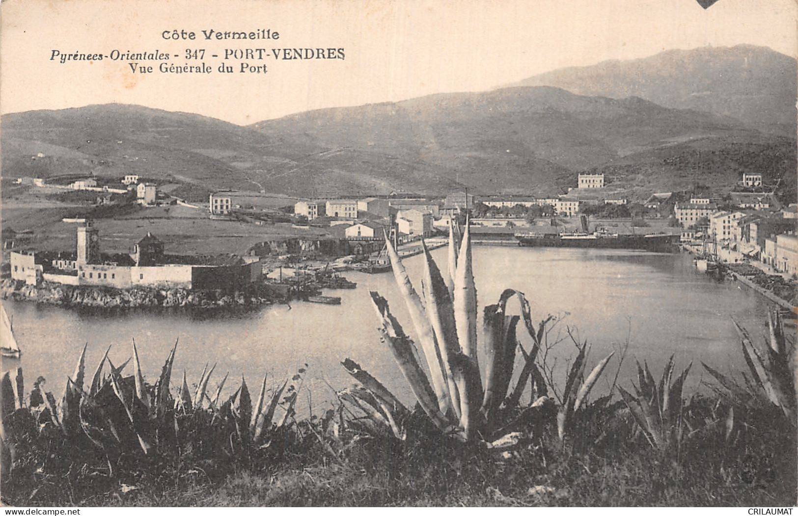 66-PORT VENDRES-N°5163-E/0299 - Port Vendres