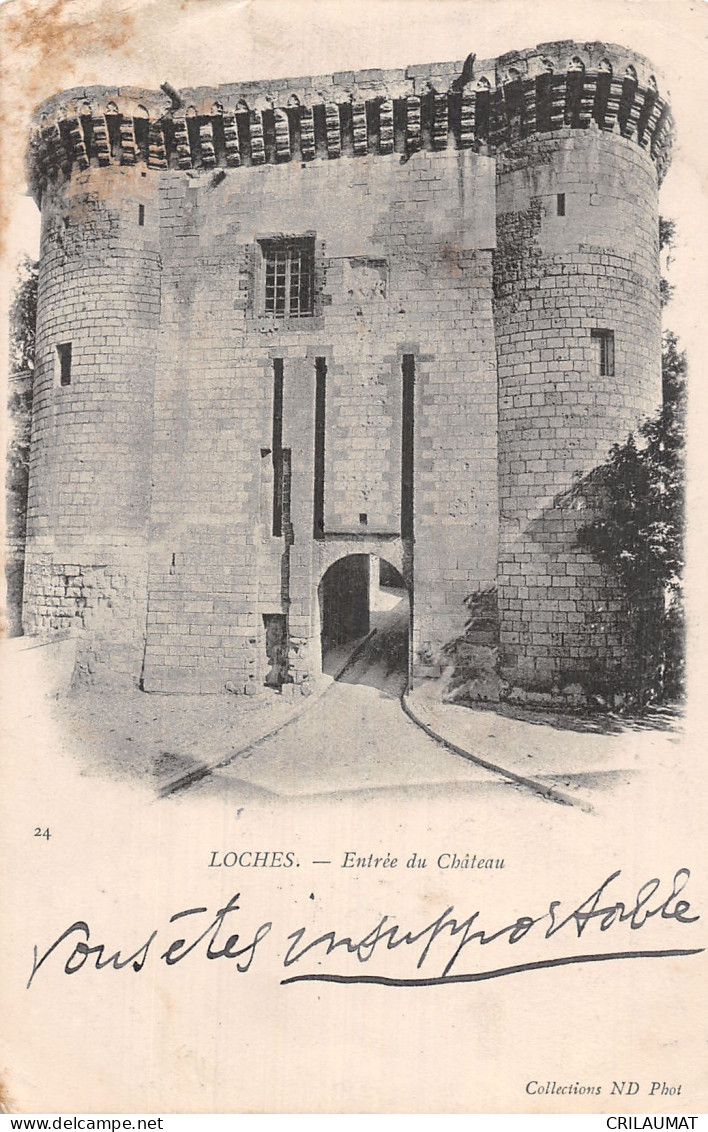 37-LOCHES LE CHÂTEAU-N°5164-A/0381 - Loches