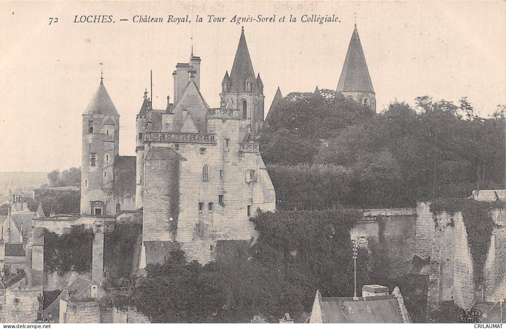 37-LOCHES LE CHÂTEAU-N°5164-A/0341 - Loches