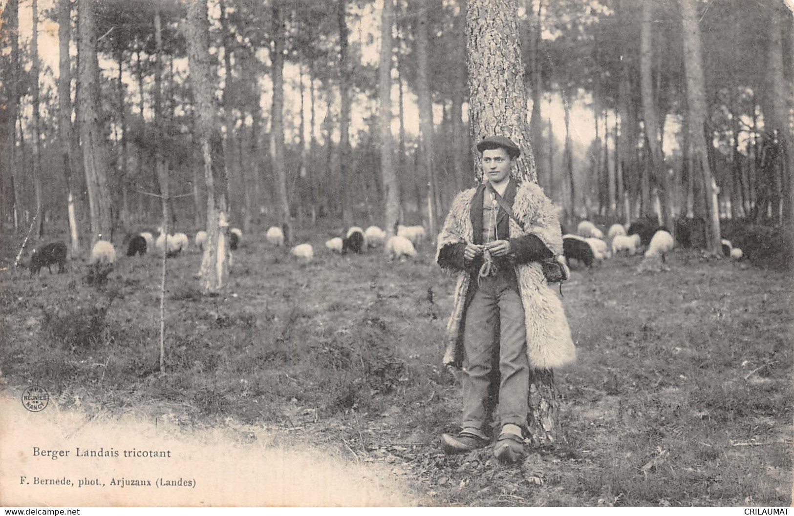 40-LES LANDES FOLKLORE BERGER LANDAIS-N°5165-F/0277 - Autres & Non Classés