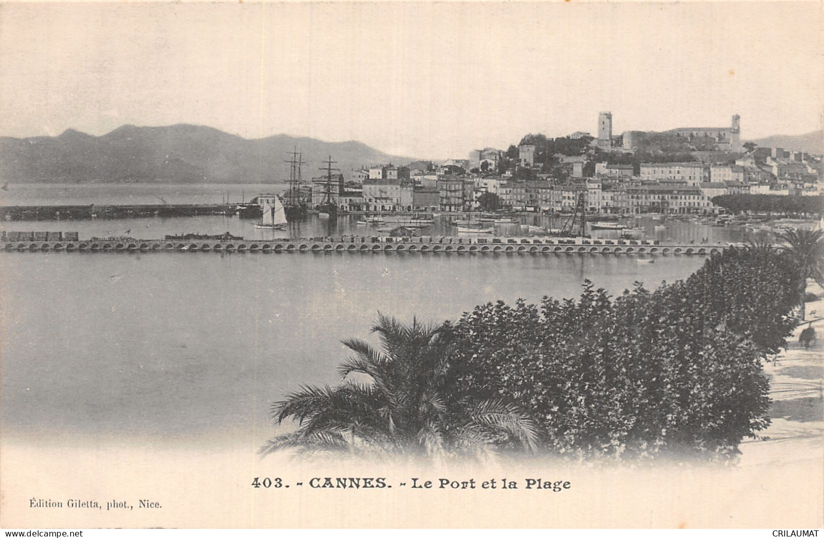 06-CANNES-N°5165-E/0085 - Cannes