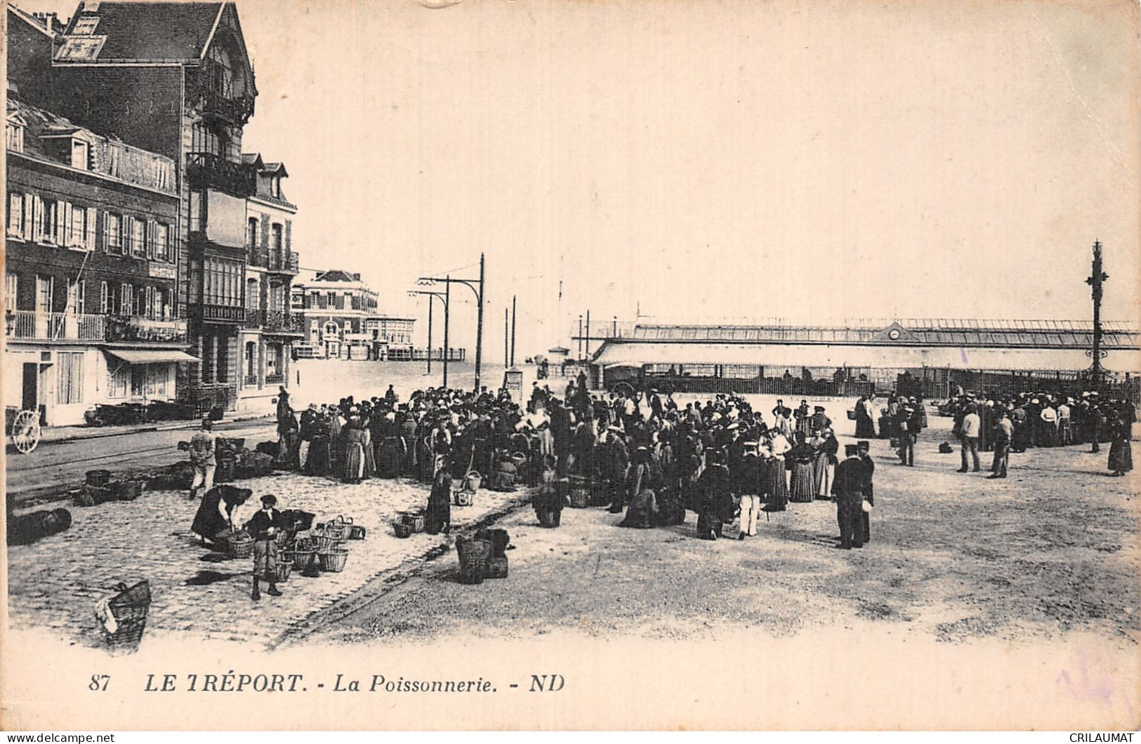 76-LE TREPORT-N°5166-C/0219 - Le Treport