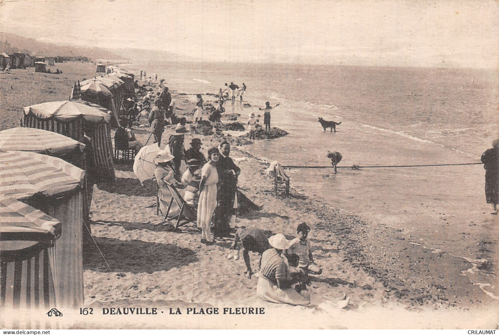 14-DEAUVILLE LA PLAGE FLEURIE-N°5166-C/0043 - Deauville