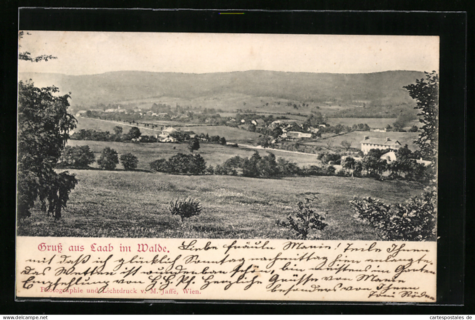 AK Laab Im Walde, Totale Von Der Bergwiese Aus Gesehen  - Autres & Non Classés